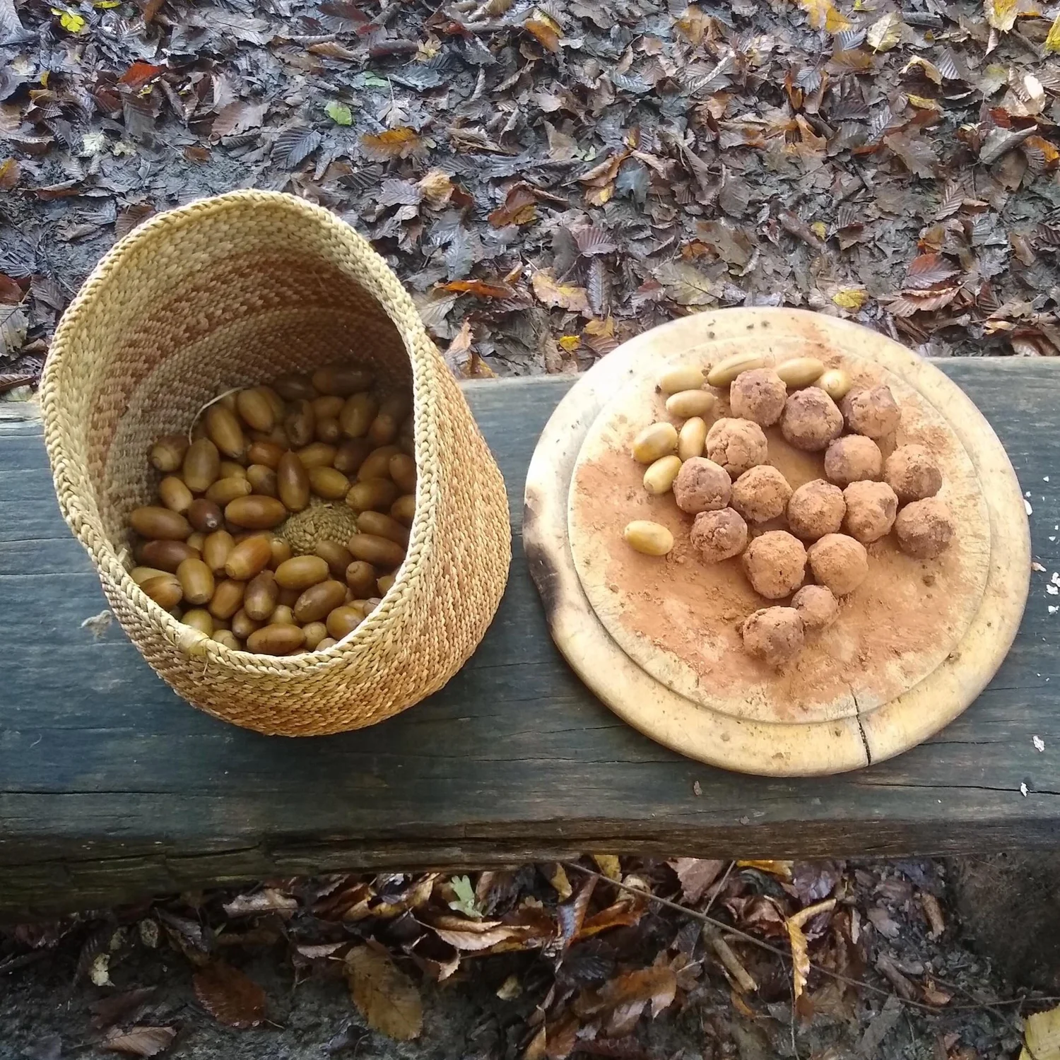 The nutritional benefits of acorns
