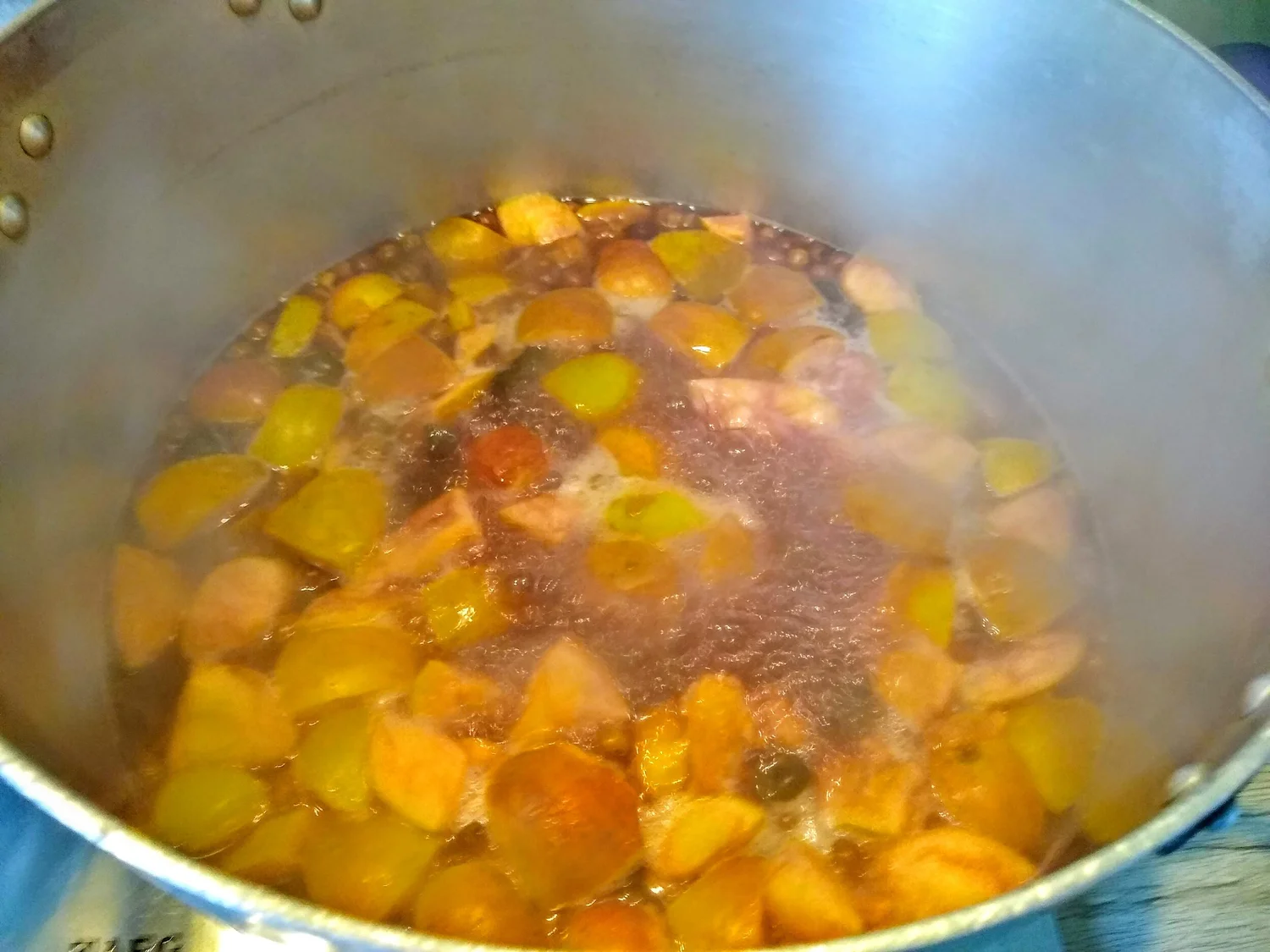 How to improve physical wellbeing in Winter by Wild Food Foraging in Autumn